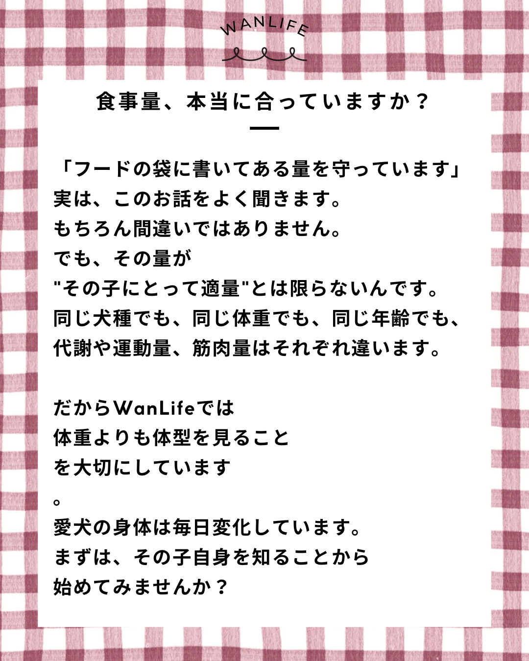 名古屋市・尾張旭市・長久手市・春日井市から来店多数の犬の整体WanLife