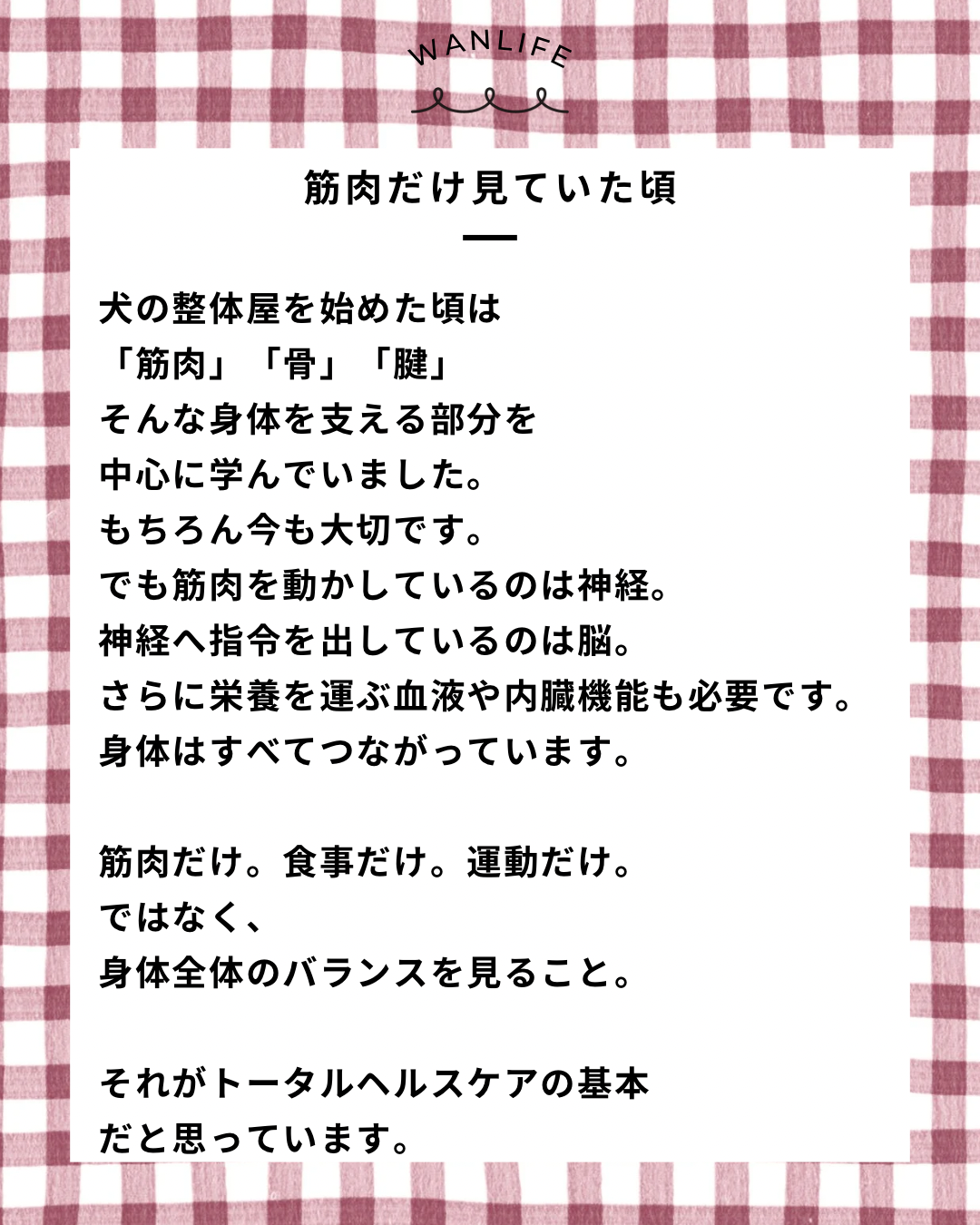 名古屋市・尾張旭市・長久手市・春日井市から来店多数の犬の整体WanLife