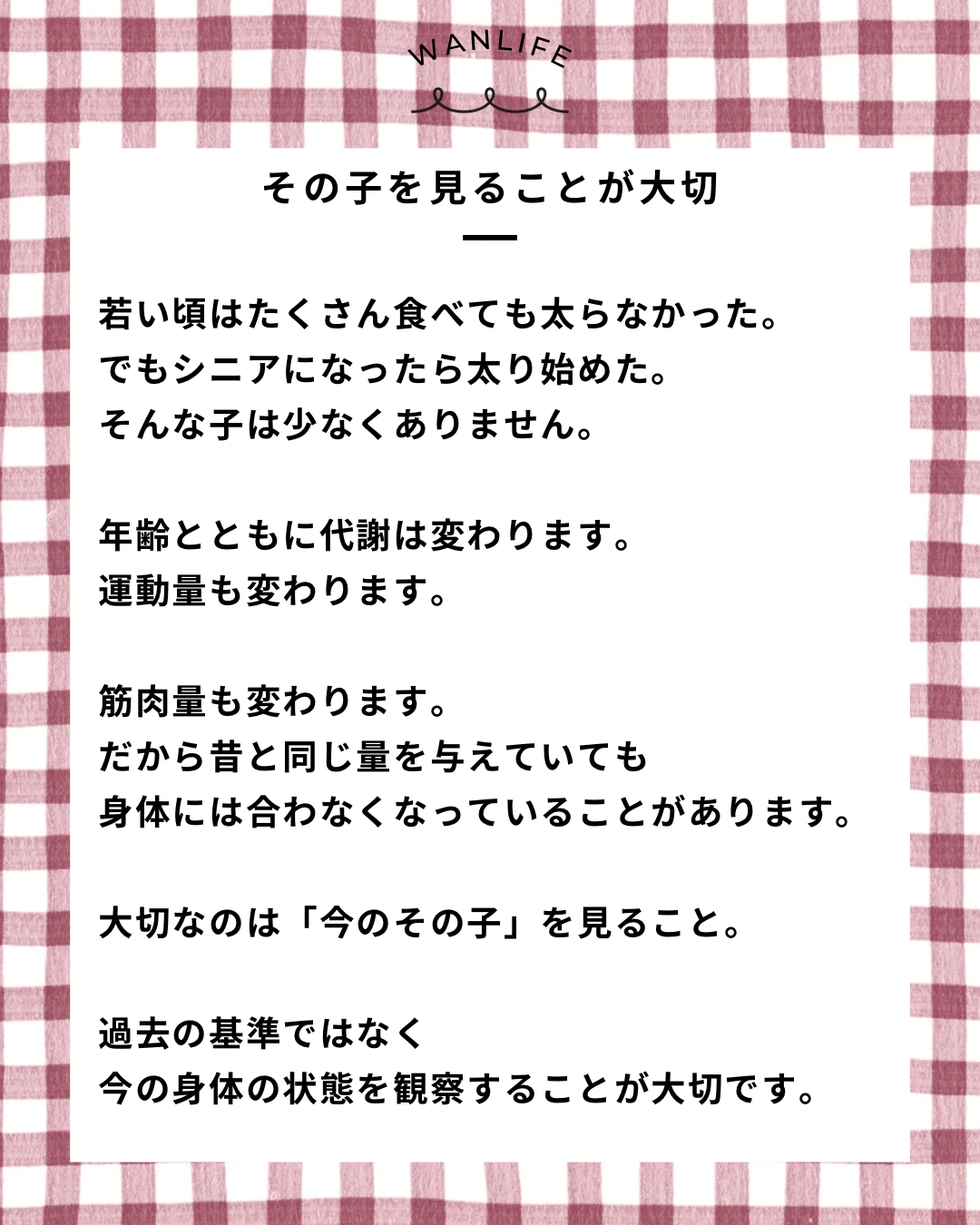 名古屋市・尾張旭市・長久手市・春日井市から来店多数の犬の整体WanLife