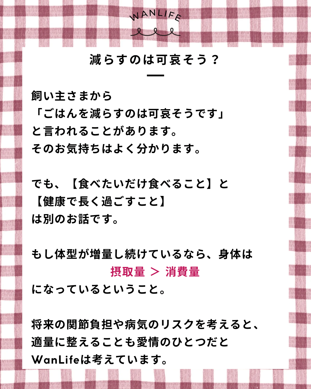 名古屋市・尾張旭市・長久手市・春日井市から来店多数の犬の整体WanLife