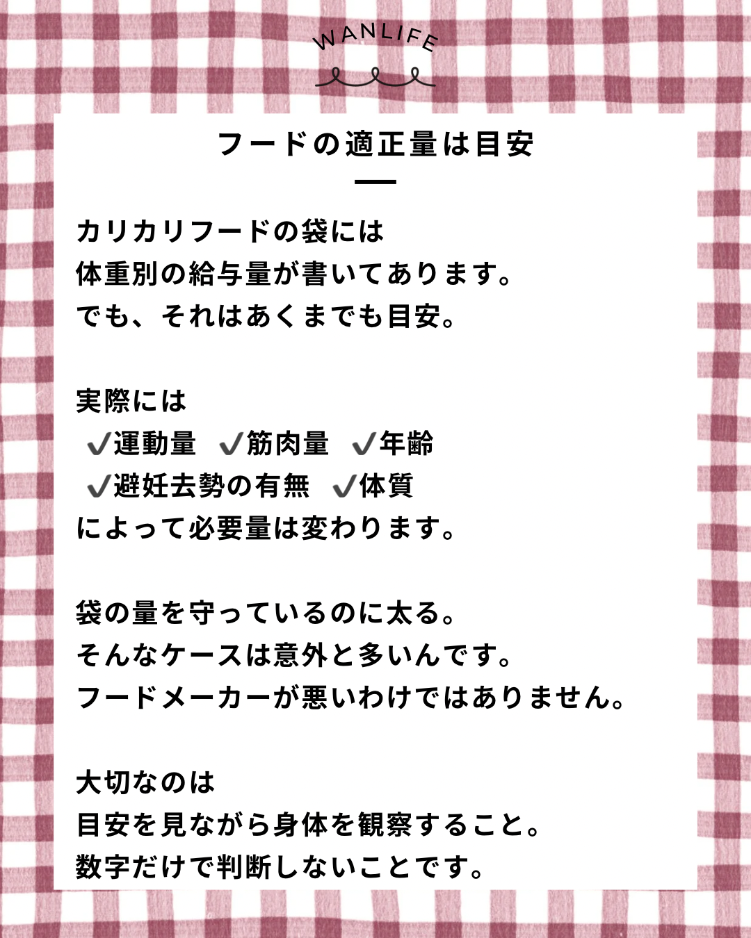 名古屋市・尾張旭市・長久手市・春日井市から来店多数の犬の整体WanLife