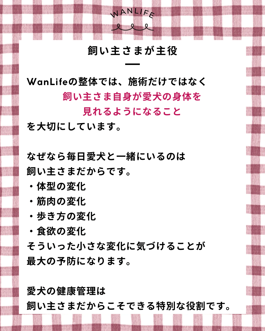 名古屋市・尾張旭市・長久手市・春日井市から来店多数の犬の整体WanLife