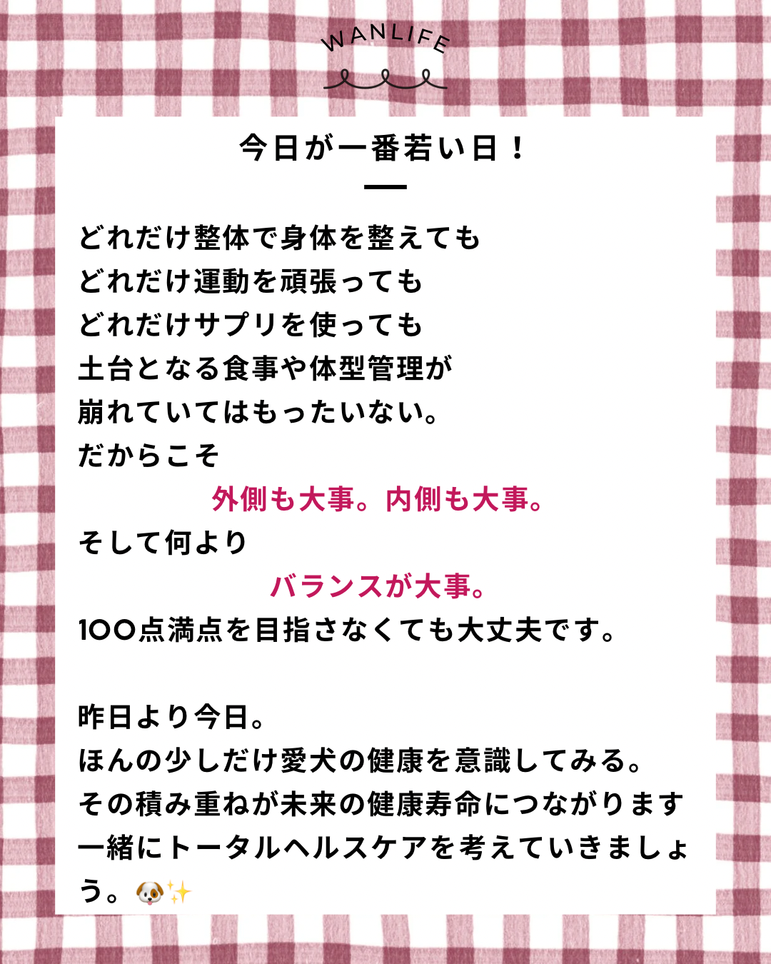 名古屋市・尾張旭市・長久手市・春日井市から来店多数の犬の整体WanLife