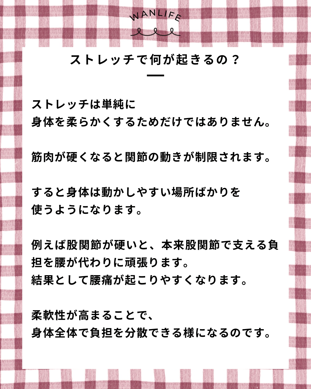 名古屋市・尾張旭市・長久手市・春日井市から来店多数の犬の整体WanLife