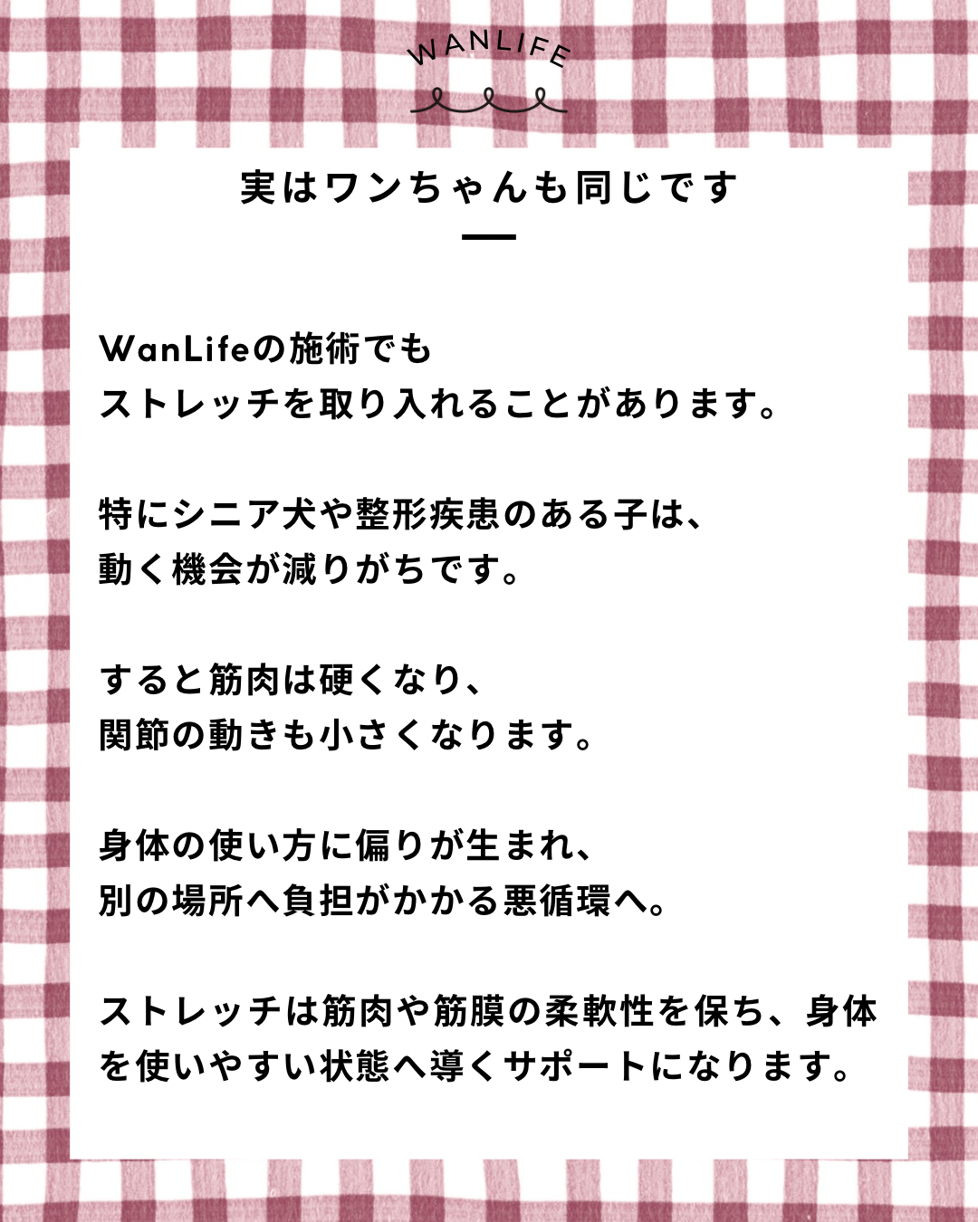 名古屋市・尾張旭市・長久手市・春日井市から来店多数の犬の整体WanLife