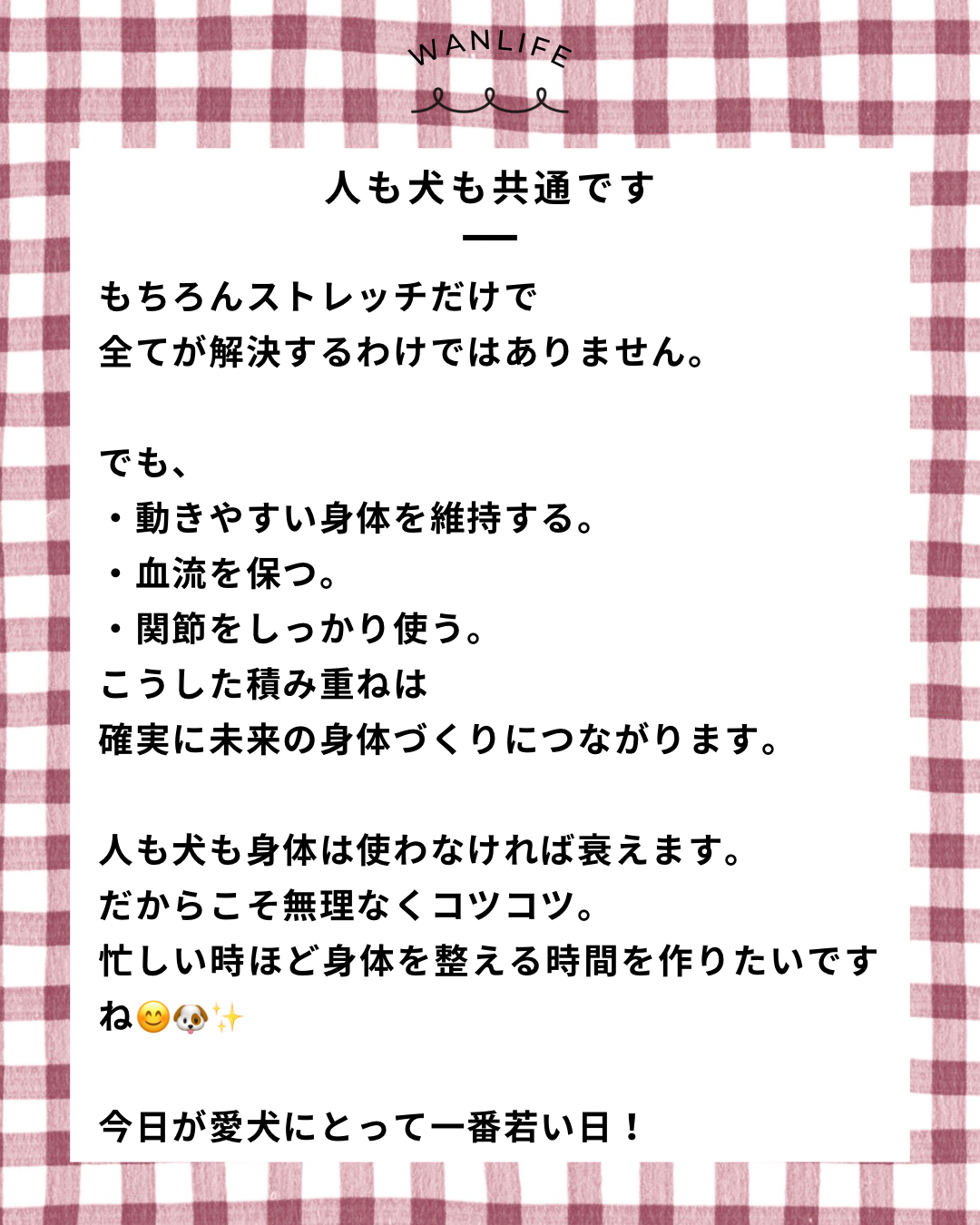 名古屋市・尾張旭市・長久手市・春日井市から来店多数の犬の整体WanLife