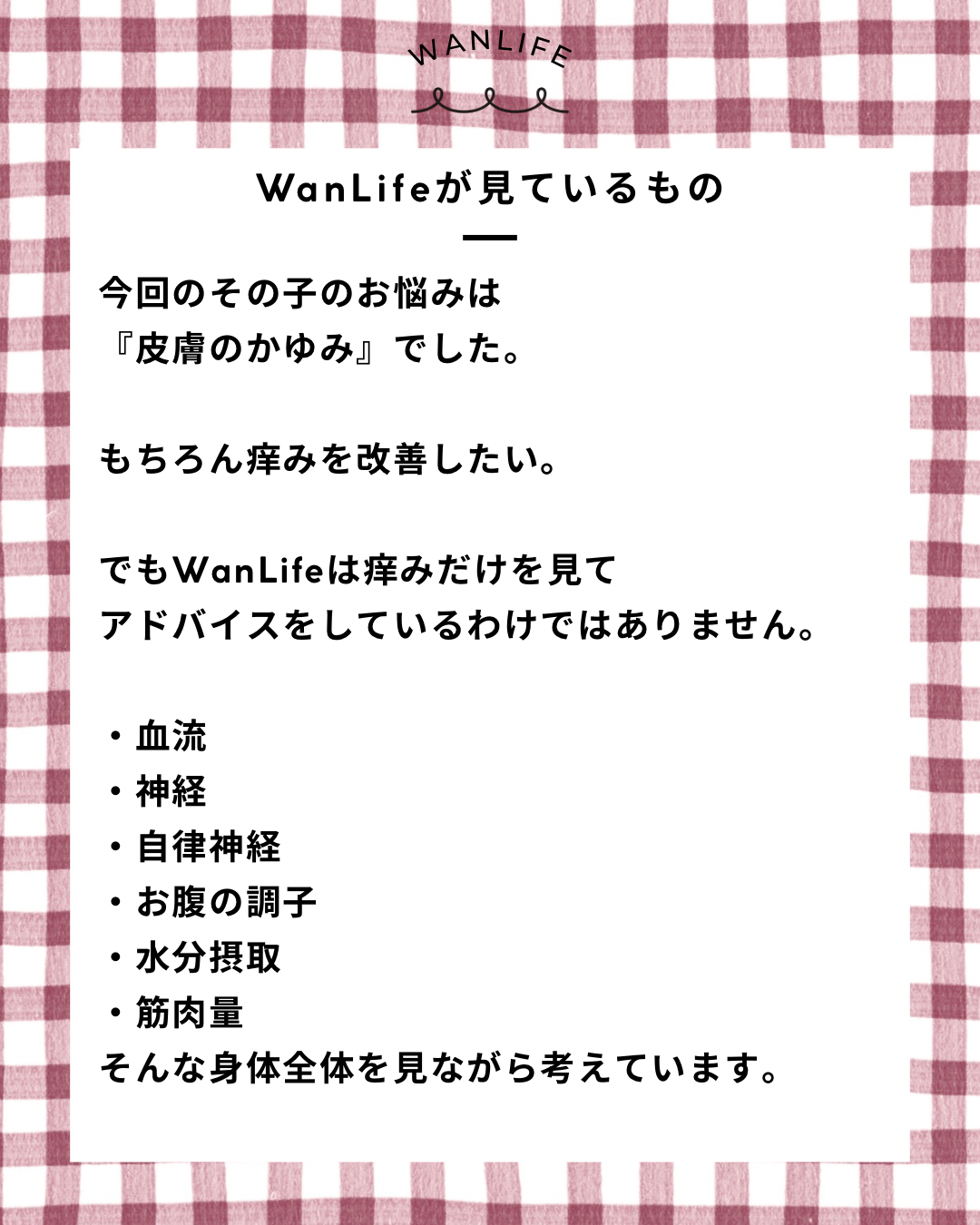 名古屋市・尾張旭市・長久手市・春日井市から来店多数の犬の整体WanLife