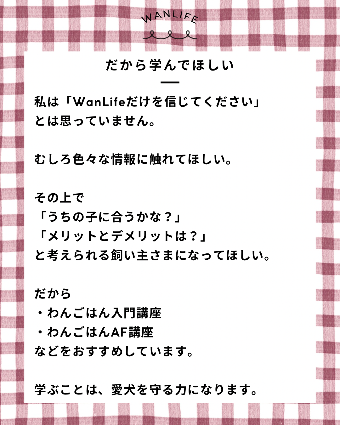 名古屋市・尾張旭市・長久手市・春日井市から来店多数の犬の整体WanLife
