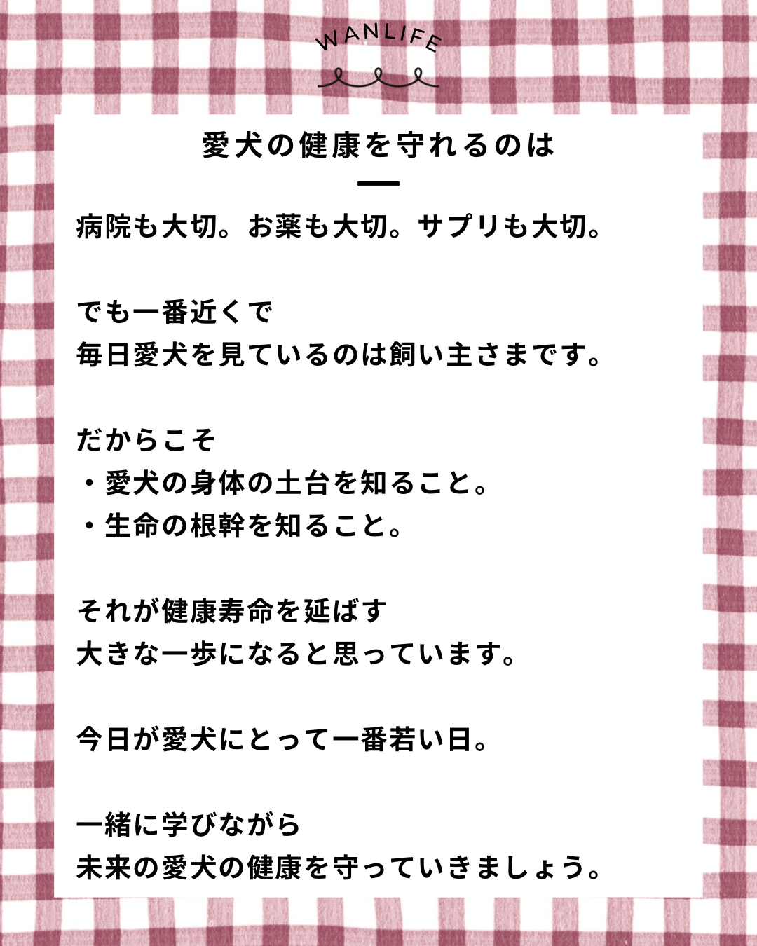名古屋市・尾張旭市・長久手市・春日井市から来店多数の犬の整体WanLife