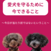 名古屋市・尾張旭市・長久手市・春日井市から来店多数の犬の整体WanLife