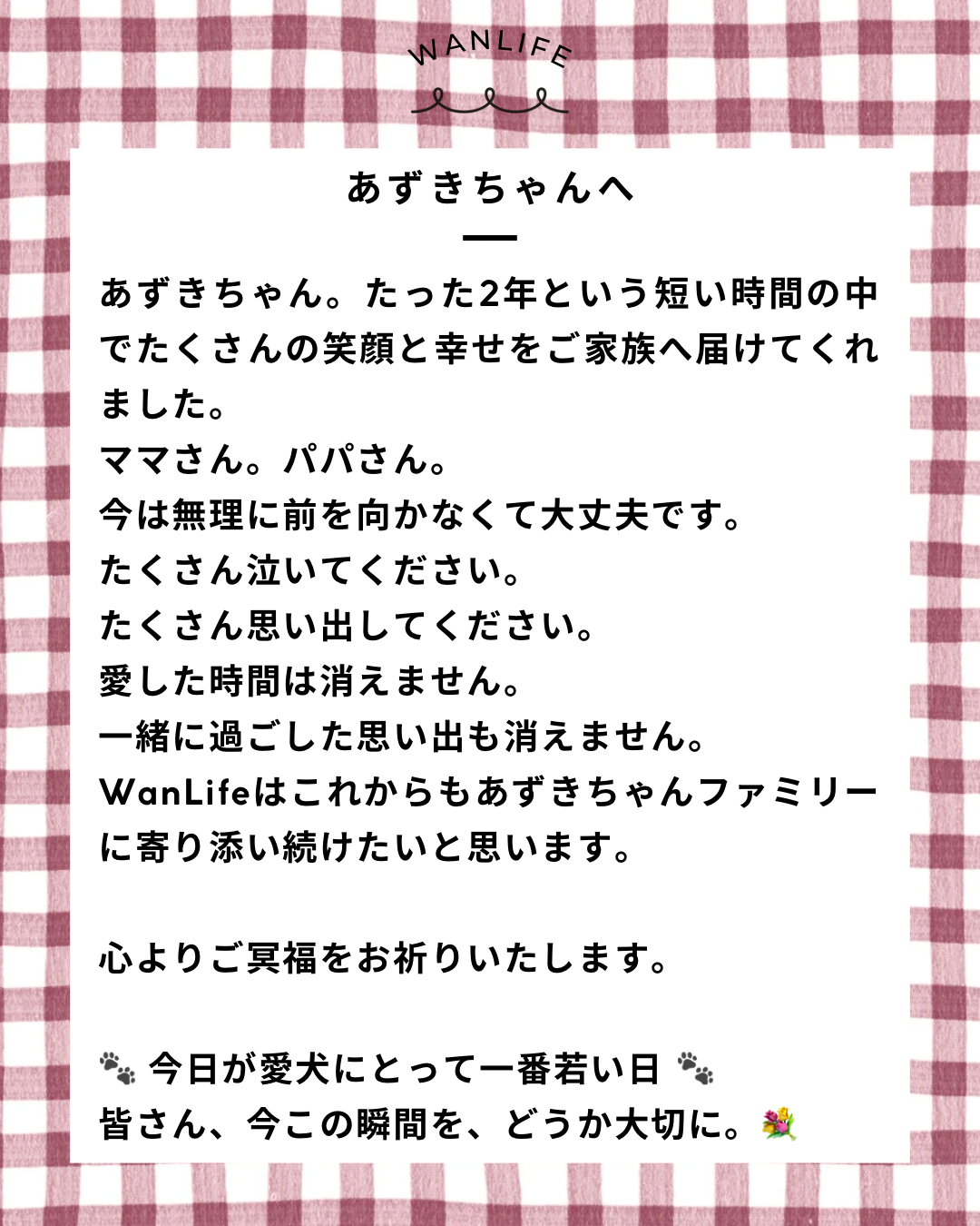 名古屋市・尾張旭市・長久手市・春日井市から来店多数の犬の整体WanLife