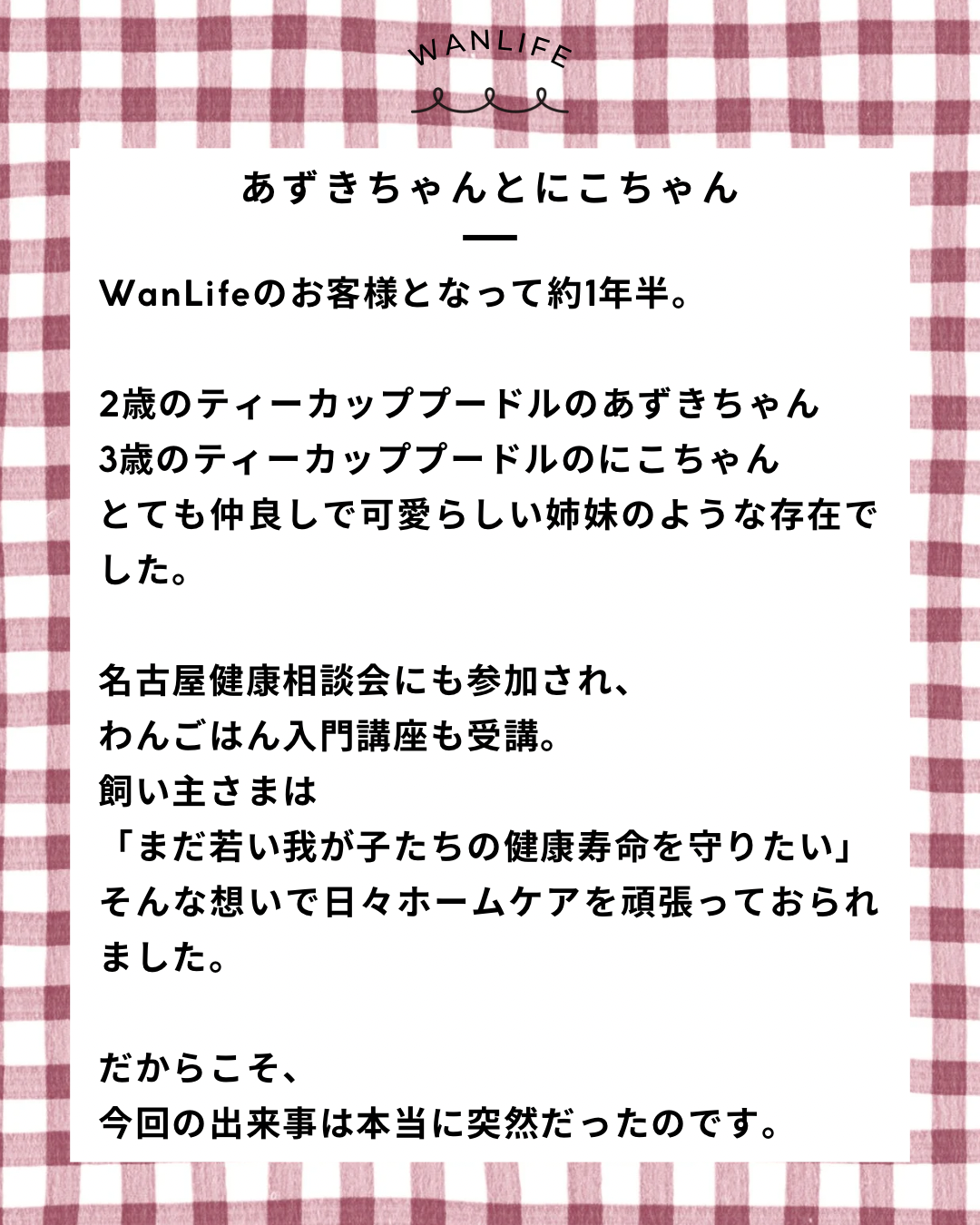 名古屋市・尾張旭市・長久手市・春日井市から来店多数の犬の整体WanLife