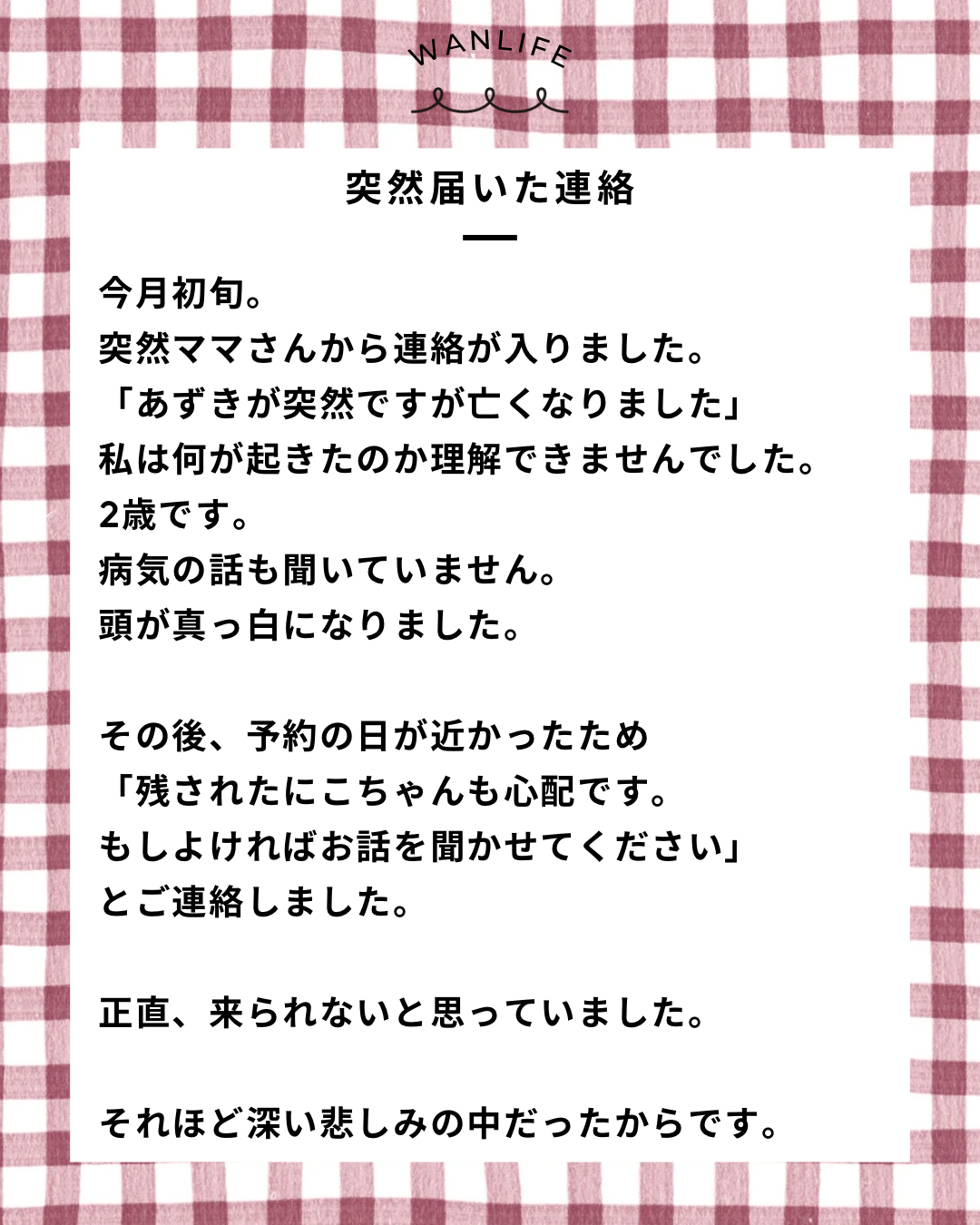 名古屋市・尾張旭市・長久手市・春日井市から来店多数の犬の整体WanLife