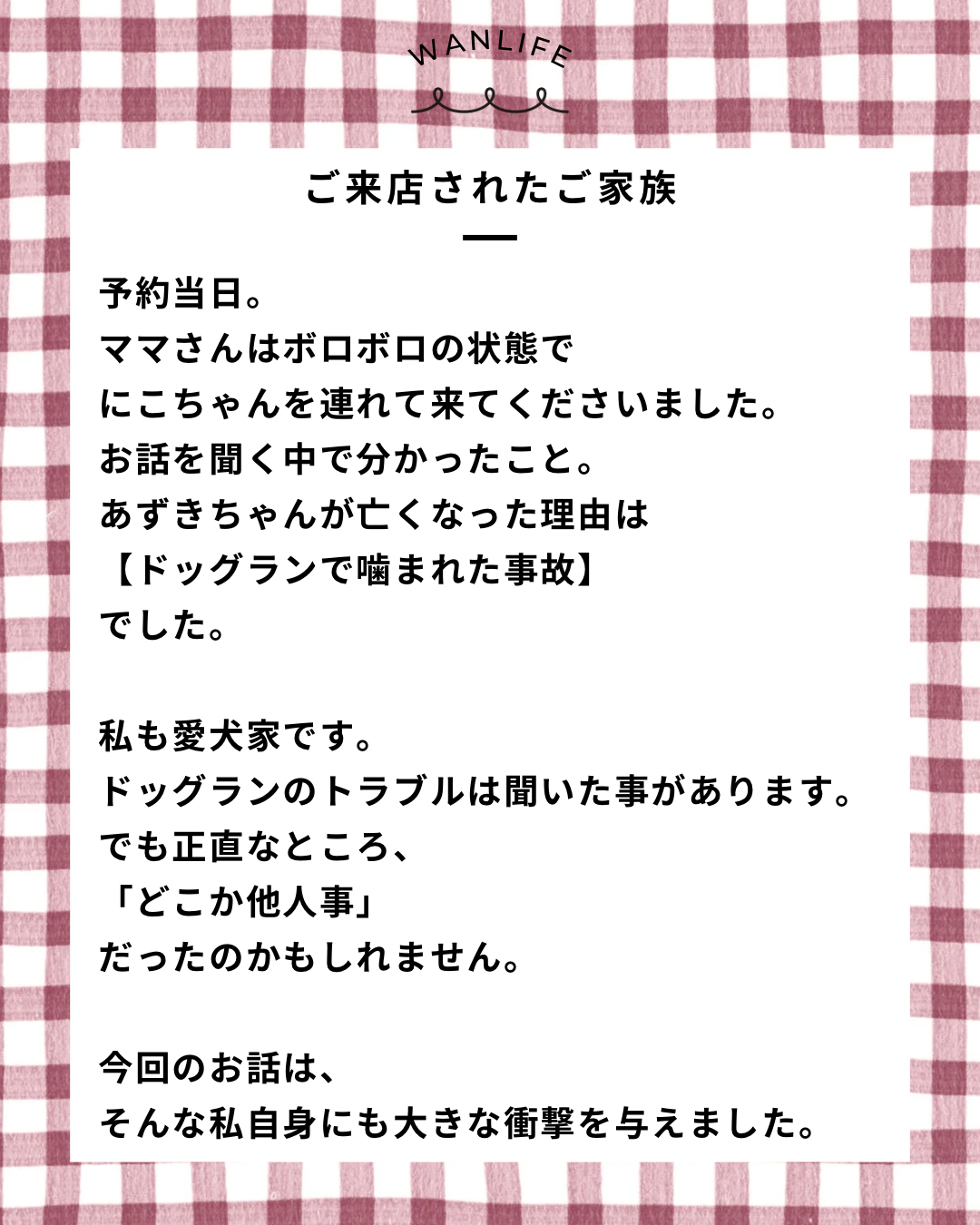 名古屋市・尾張旭市・長久手市・春日井市から来店多数の犬の整体WanLife