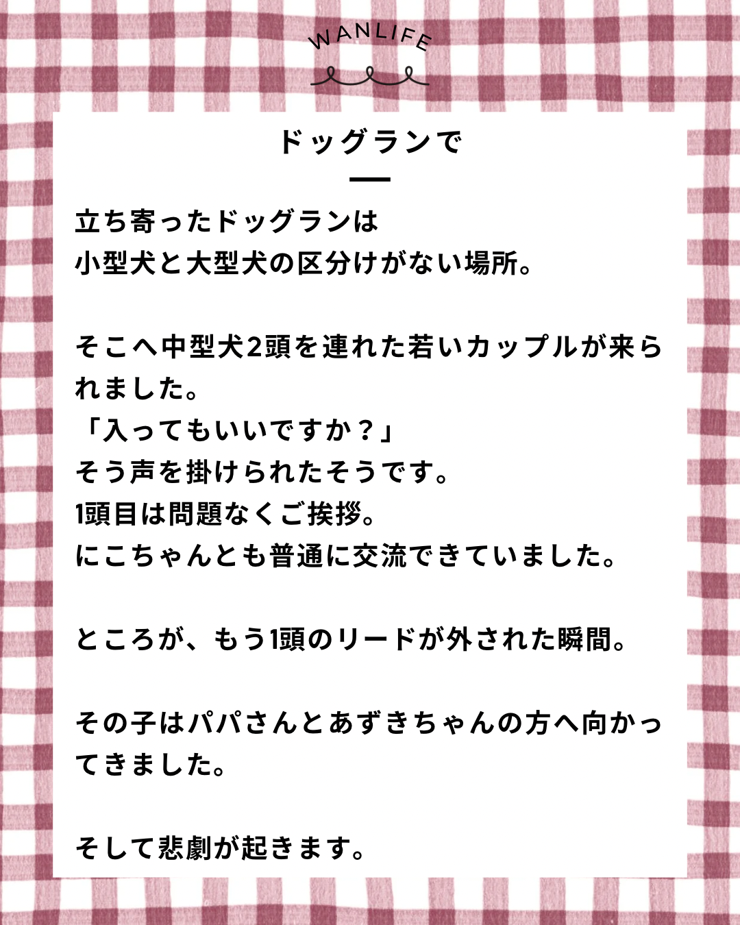 名古屋市・尾張旭市・長久手市・春日井市から来店多数の犬の整体WanLife