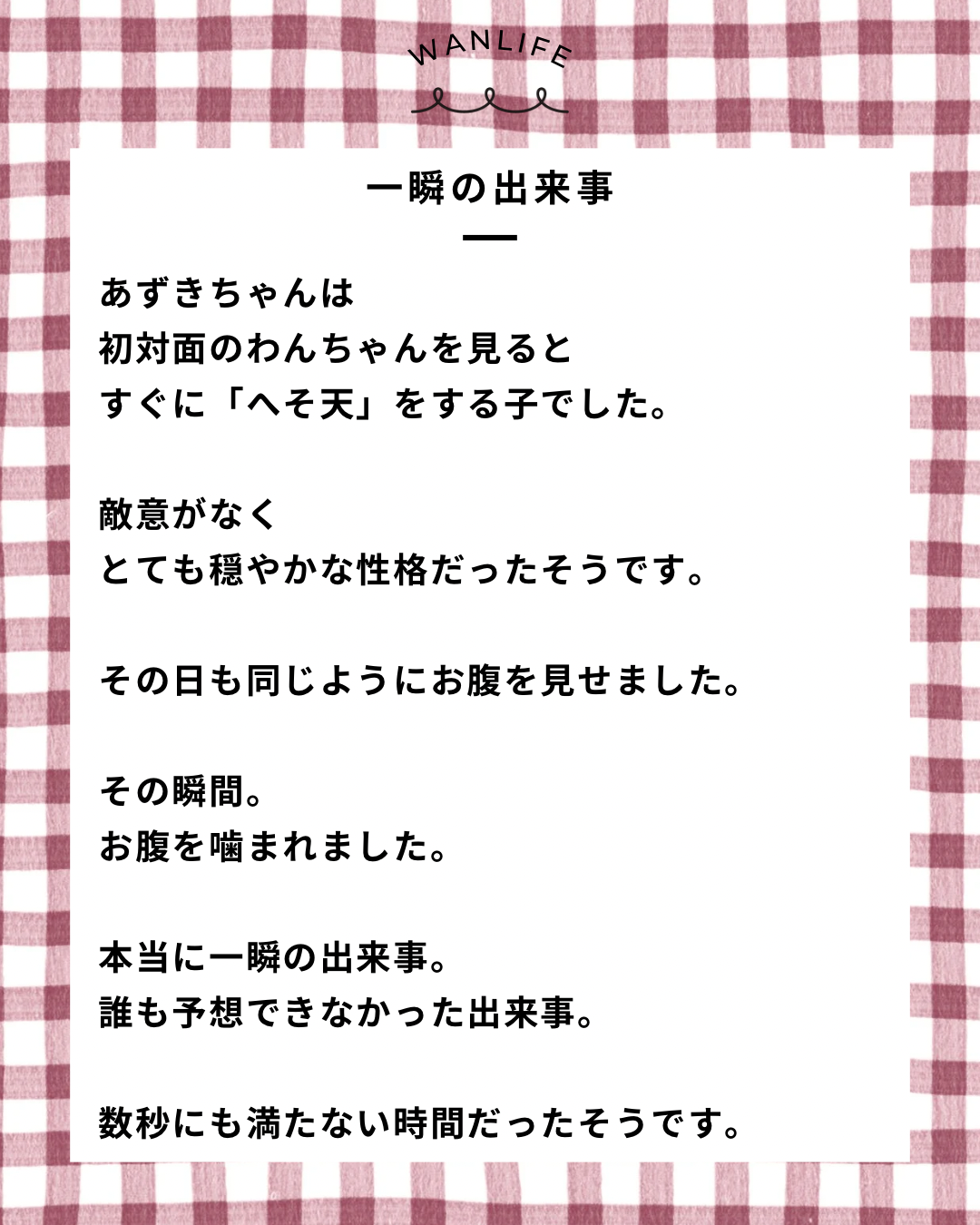 名古屋市・尾張旭市・長久手市・春日井市から来店多数の犬の整体WanLife