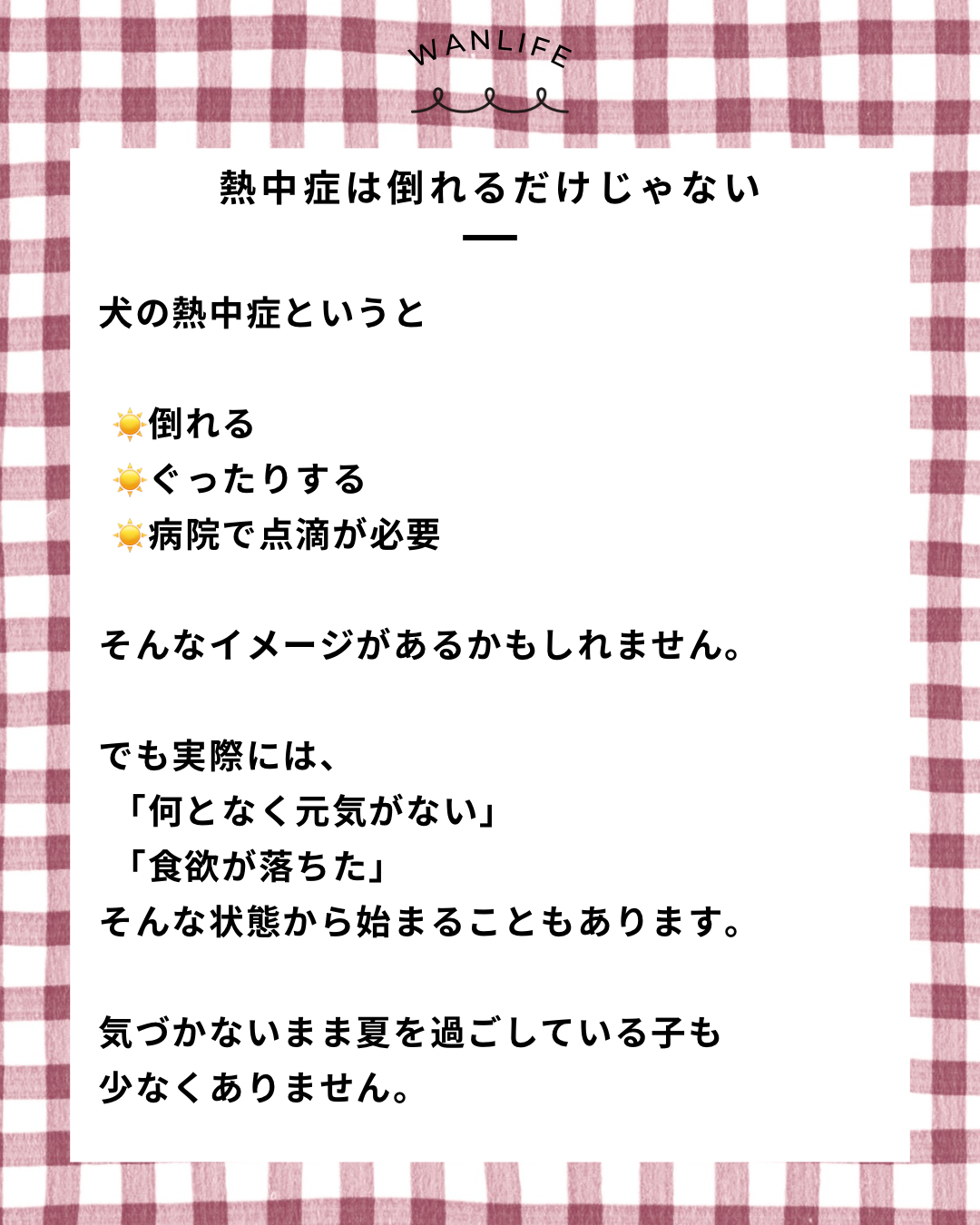 名古屋市・尾張旭市・長久手市・春日井市から来店多数の犬の整体WanLife