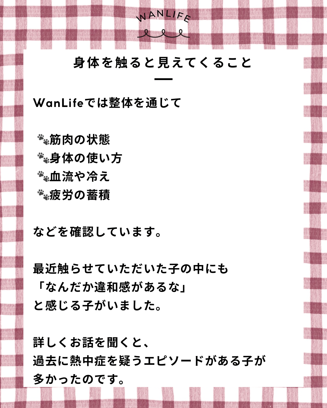 名古屋市・尾張旭市・長久手市・春日井市から来店多数の犬の整体WanLife