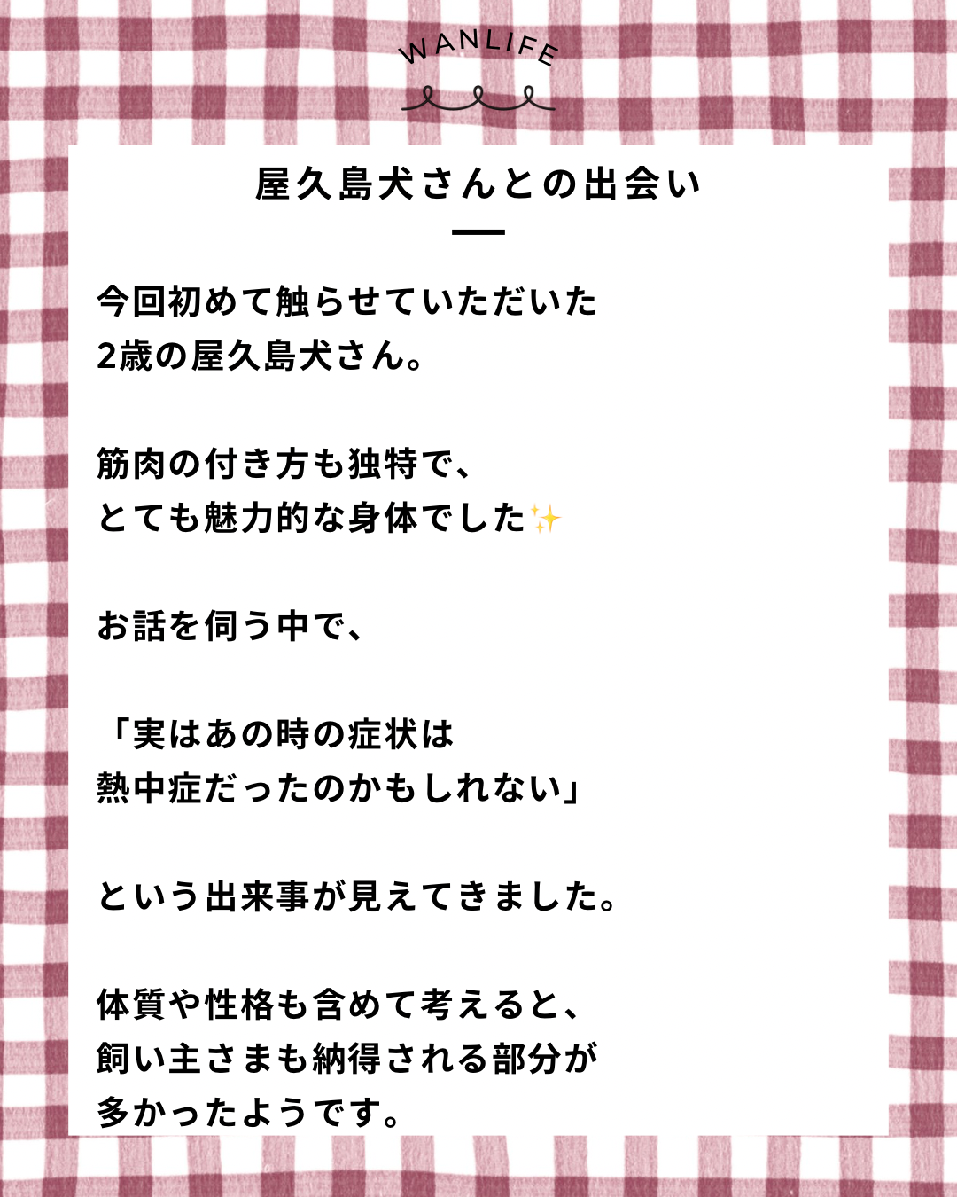 名古屋市・尾張旭市・長久手市・春日井市から来店多数の犬の整体WanLife