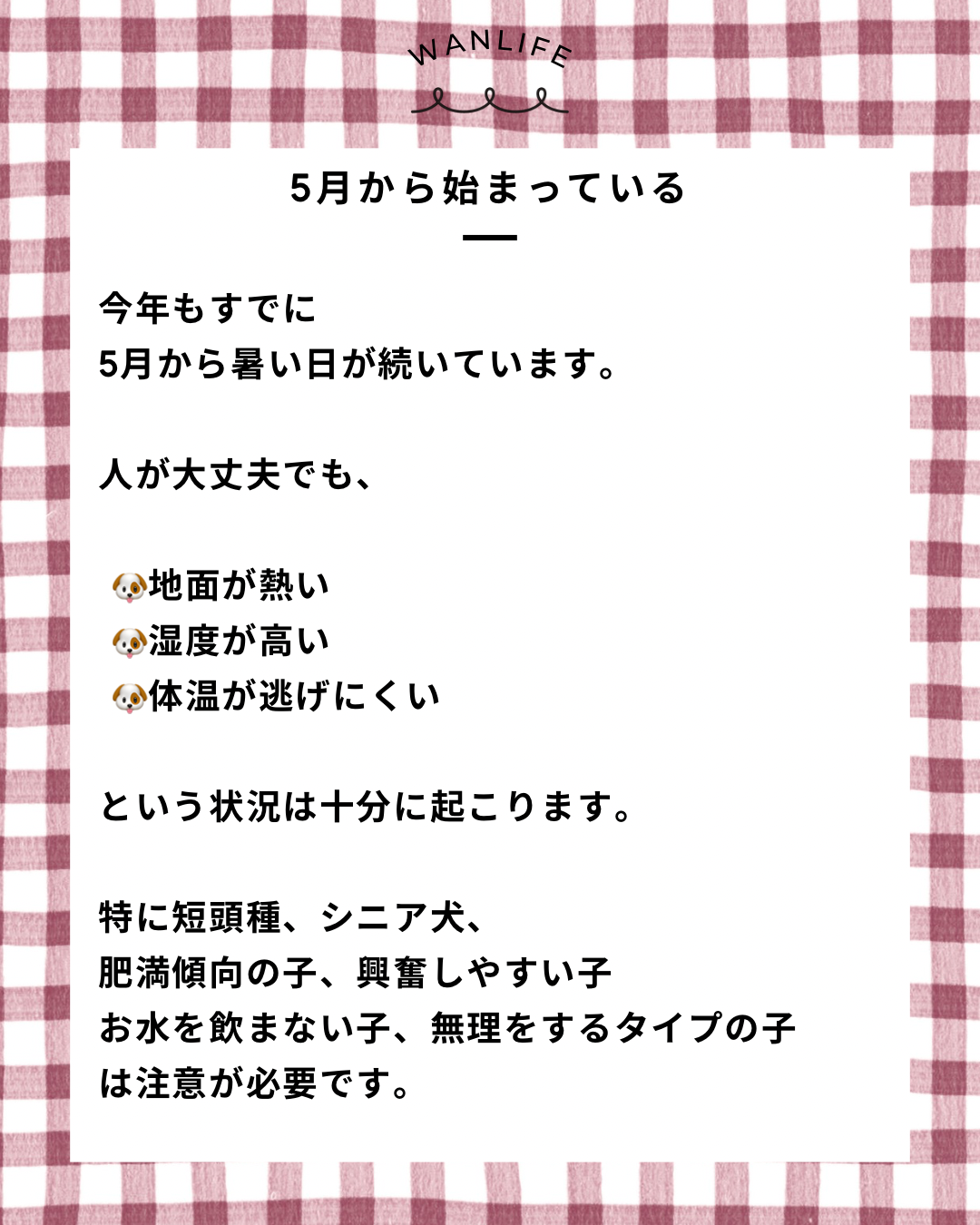 名古屋市・尾張旭市・長久手市・春日井市から来店多数の犬の整体WanLife