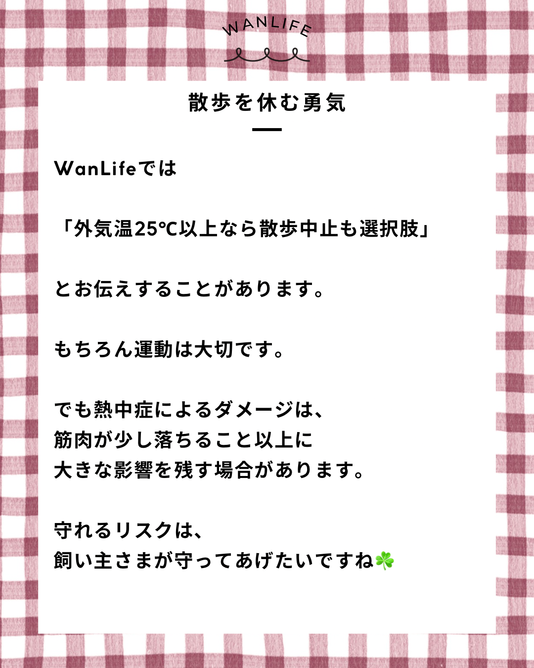 名古屋市・尾張旭市・長久手市・春日井市から来店多数の犬の整体WanLife