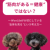 名古屋市・尾張旭市・長久手市・春日井市から来店多数の犬の整体WanLife