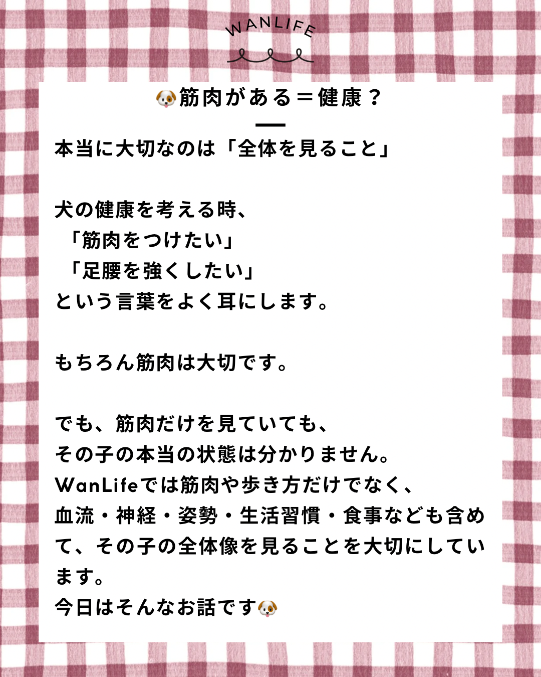 名古屋市・尾張旭市・長久手市・春日井市から来店多数の犬の整体WanLife