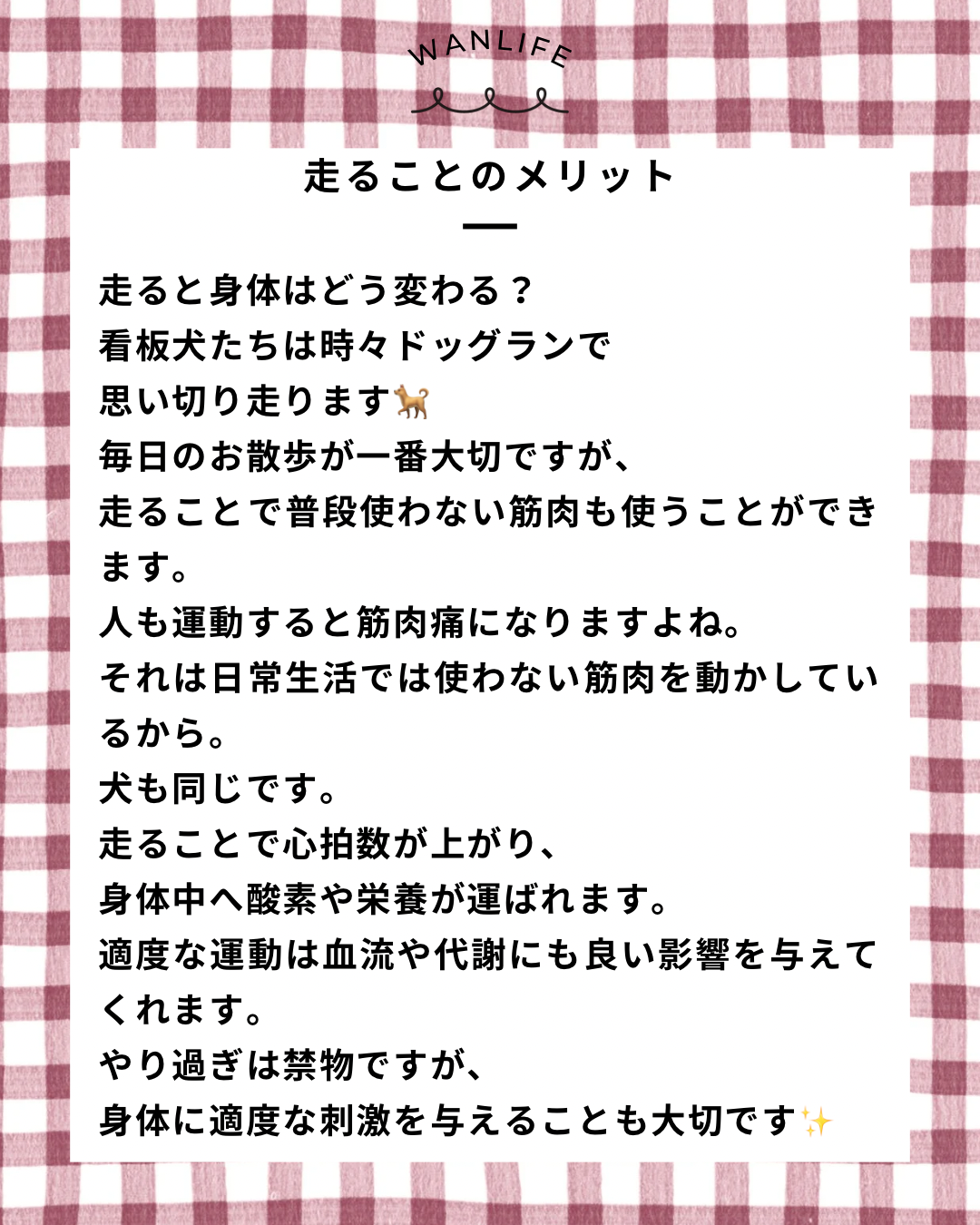 名古屋市・尾張旭市・長久手市・春日井市から来店多数の犬の整体WanLife