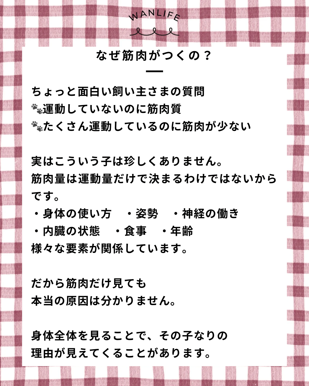 名古屋市・尾張旭市・長久手市・春日井市から来店多数の犬の整体WanLife