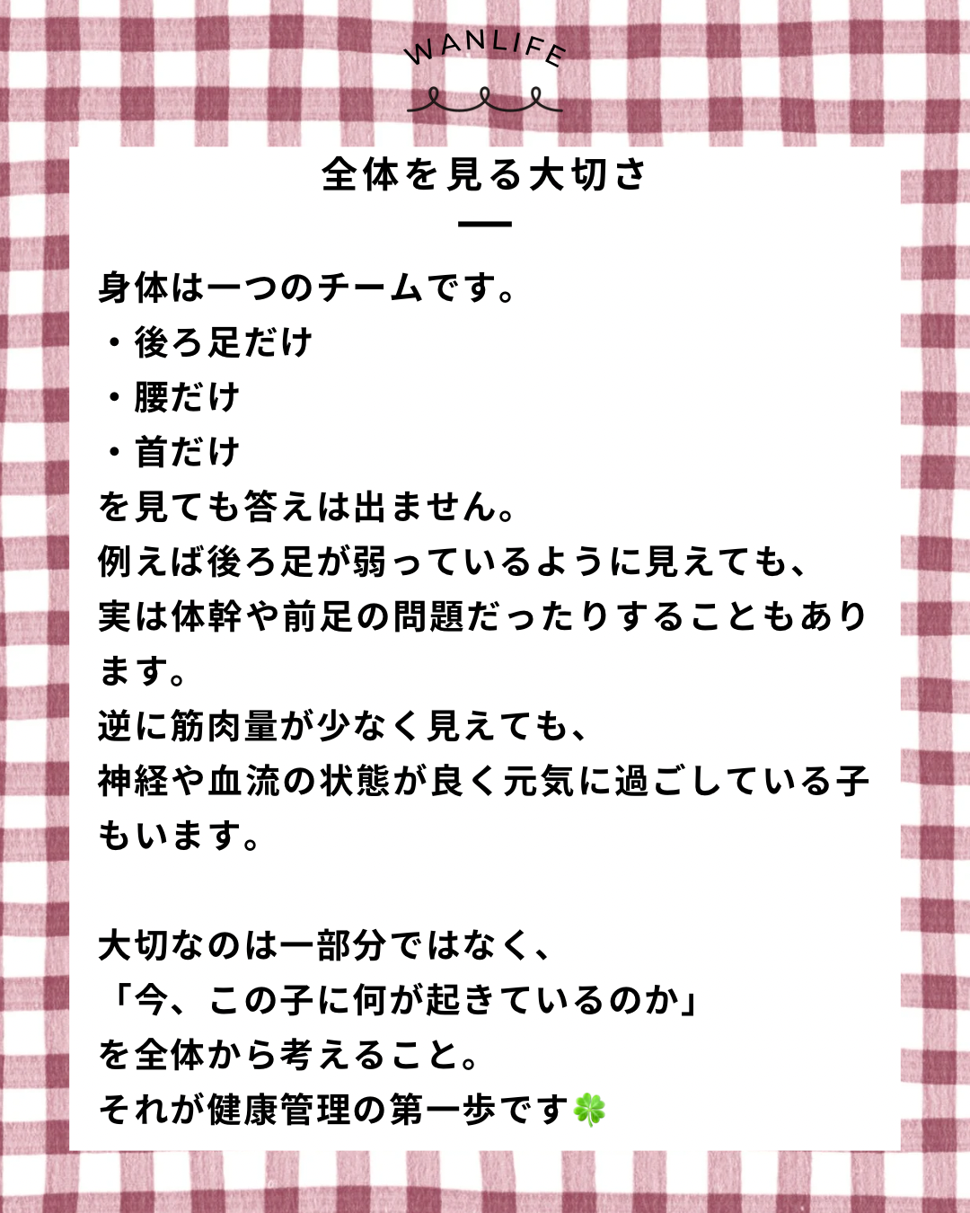 名古屋市・尾張旭市・長久手市・春日井市から来店多数の犬の整体WanLife