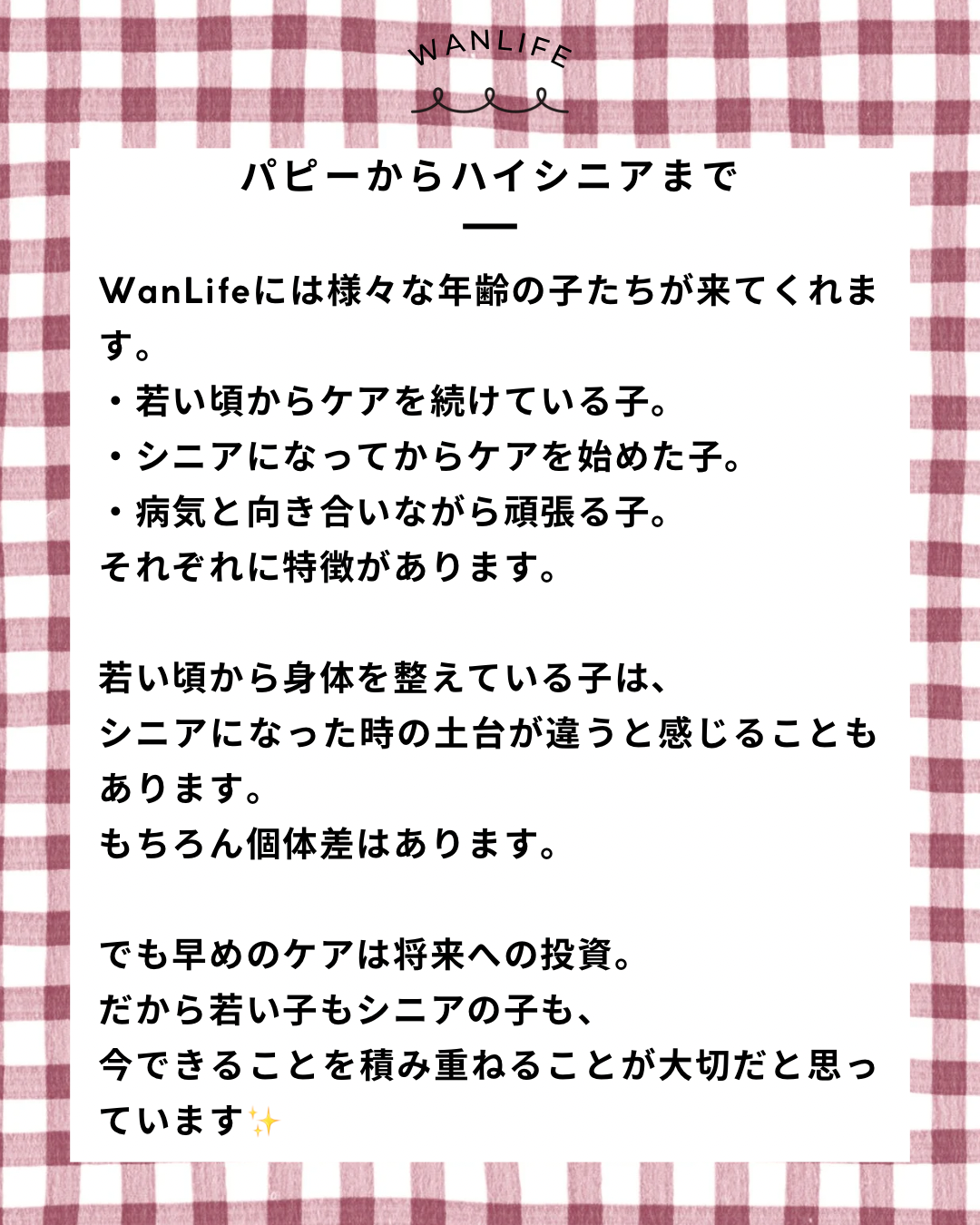 名古屋市・尾張旭市・長久手市・春日井市から来店多数の犬の整体WanLife