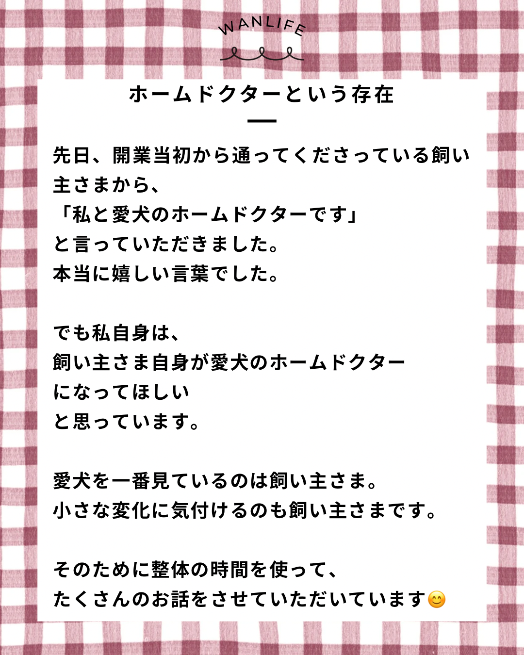 名古屋市・尾張旭市・長久手市・春日井市から来店多数の犬の整体WanLife