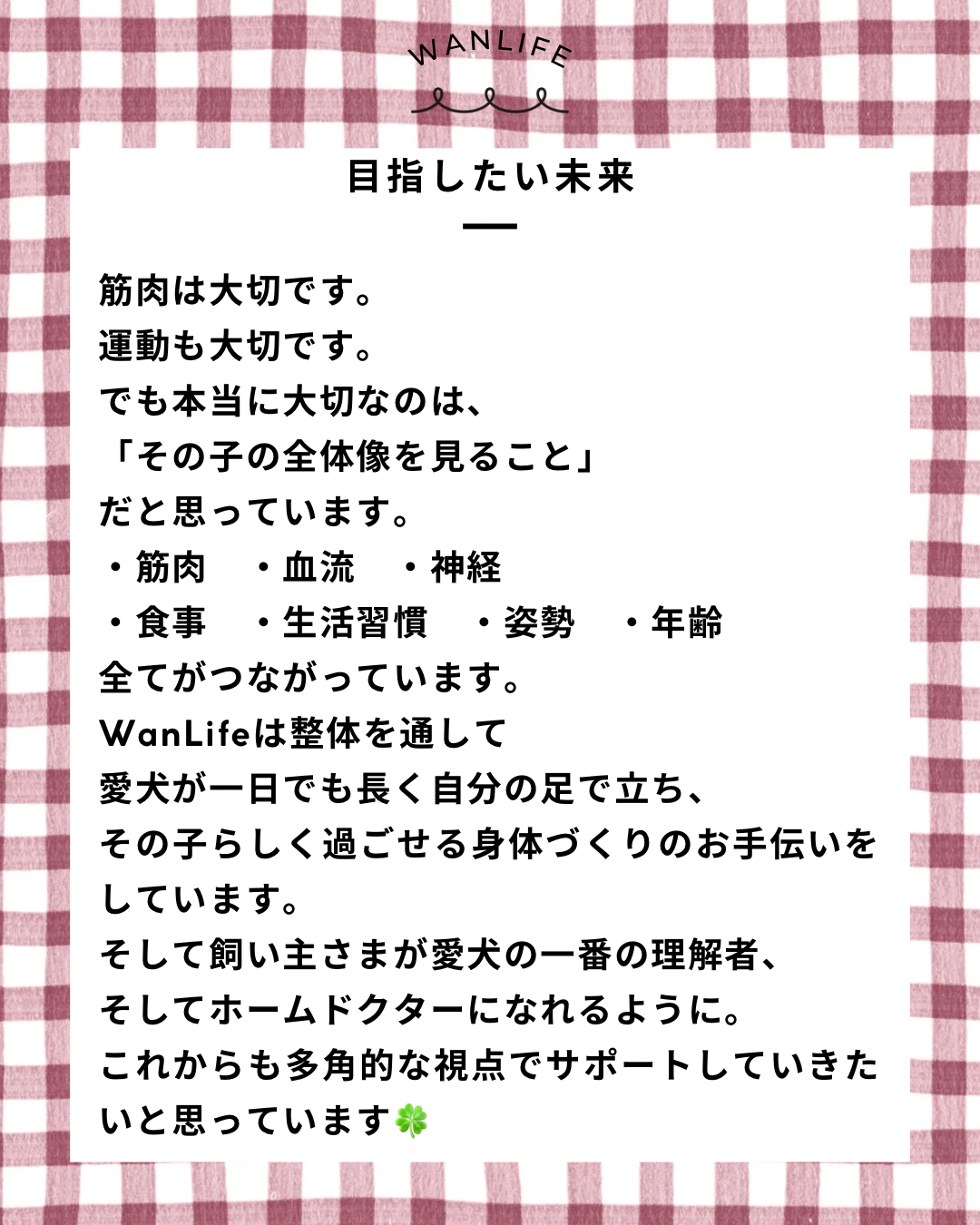 名古屋市・尾張旭市・長久手市・春日井市から来店多数の犬の整体WanLife