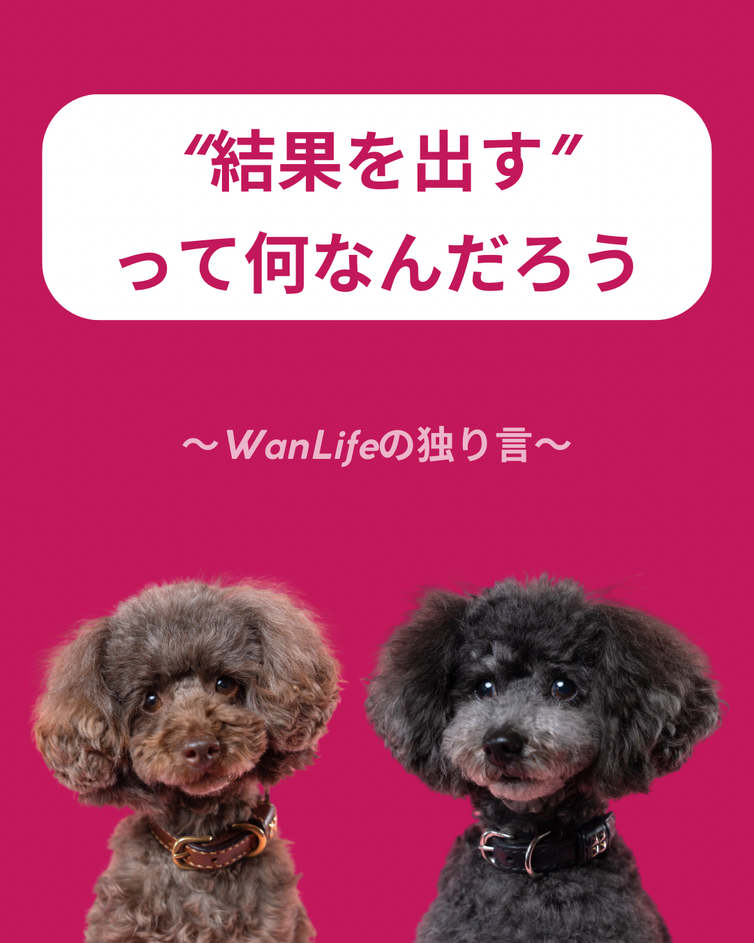 名古屋市・尾張旭市・長久手市・春日井市から来店多数の犬の整体WanLife