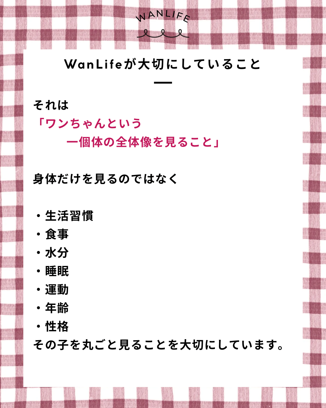 名古屋市・尾張旭市・長久手市・春日井市から来店多数の犬の整体WanLife
