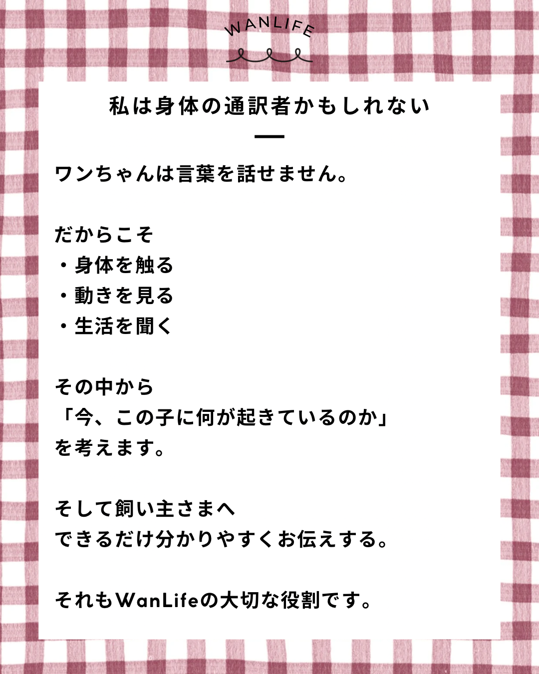 名古屋市・尾張旭市・長久手市・春日井市から来店多数の犬の整体WanLife