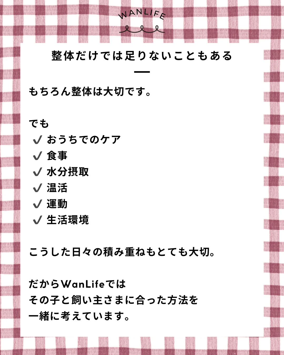 名古屋市・尾張旭市・長久手市・春日井市から来店多数の犬の整体WanLife