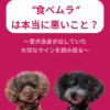 名古屋市・尾張旭市・長久手市・春日井市から来店多数の犬の整体WanLife