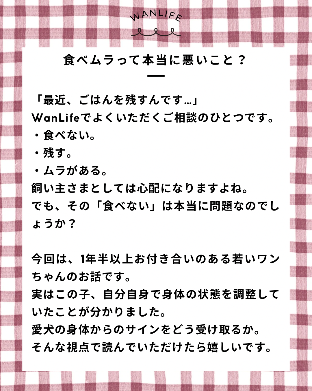 名古屋市・尾張旭市・長久手市・春日井市から来店多数の犬の整体WanLife