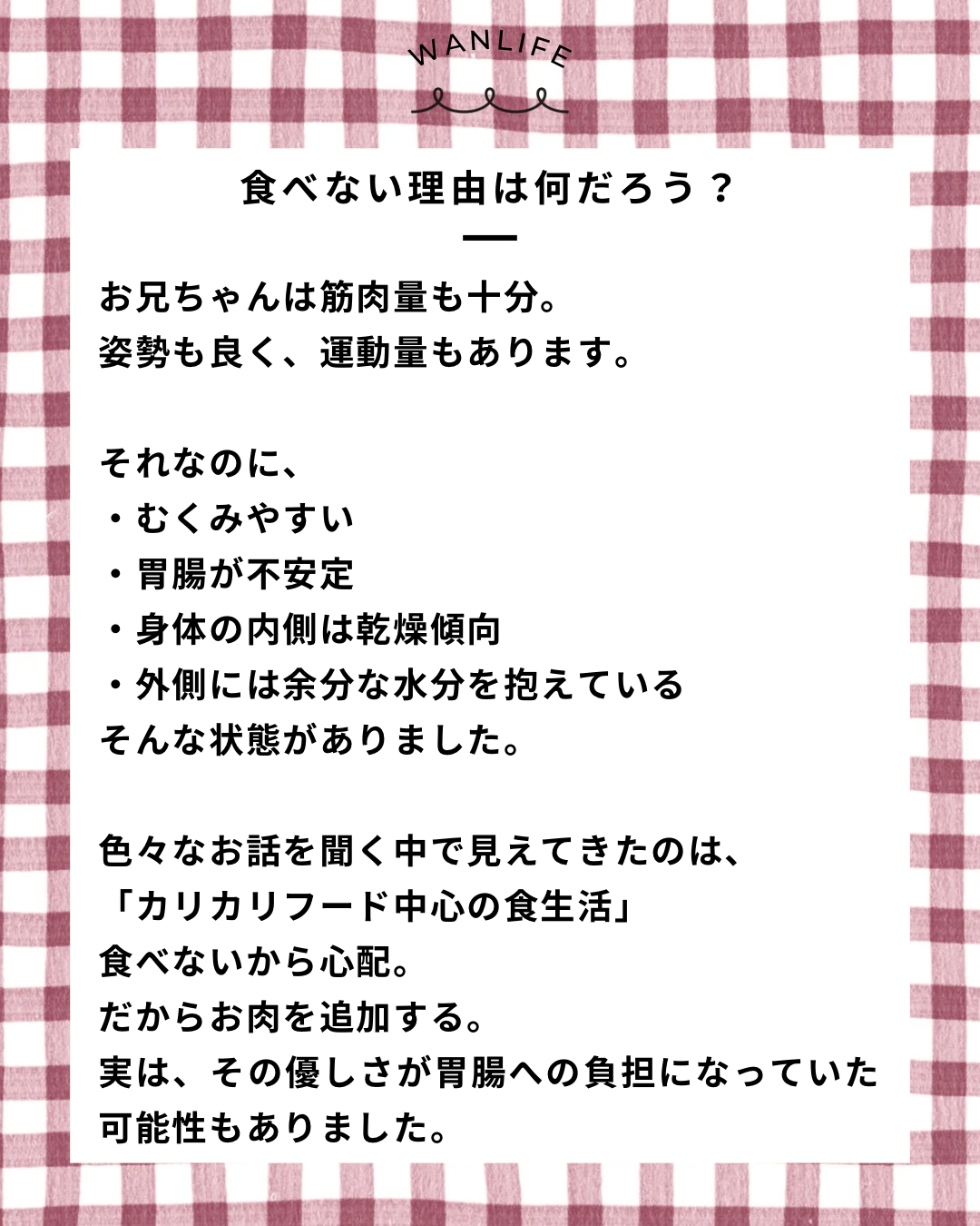 名古屋市・尾張旭市・長久手市・春日井市から来店多数の犬の整体WanLife