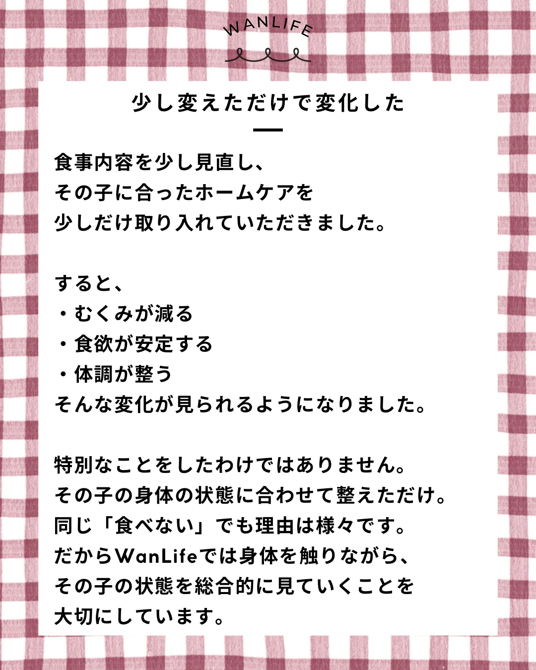 名古屋市・尾張旭市・長久手市・春日井市から来店多数の犬の整体WanLife