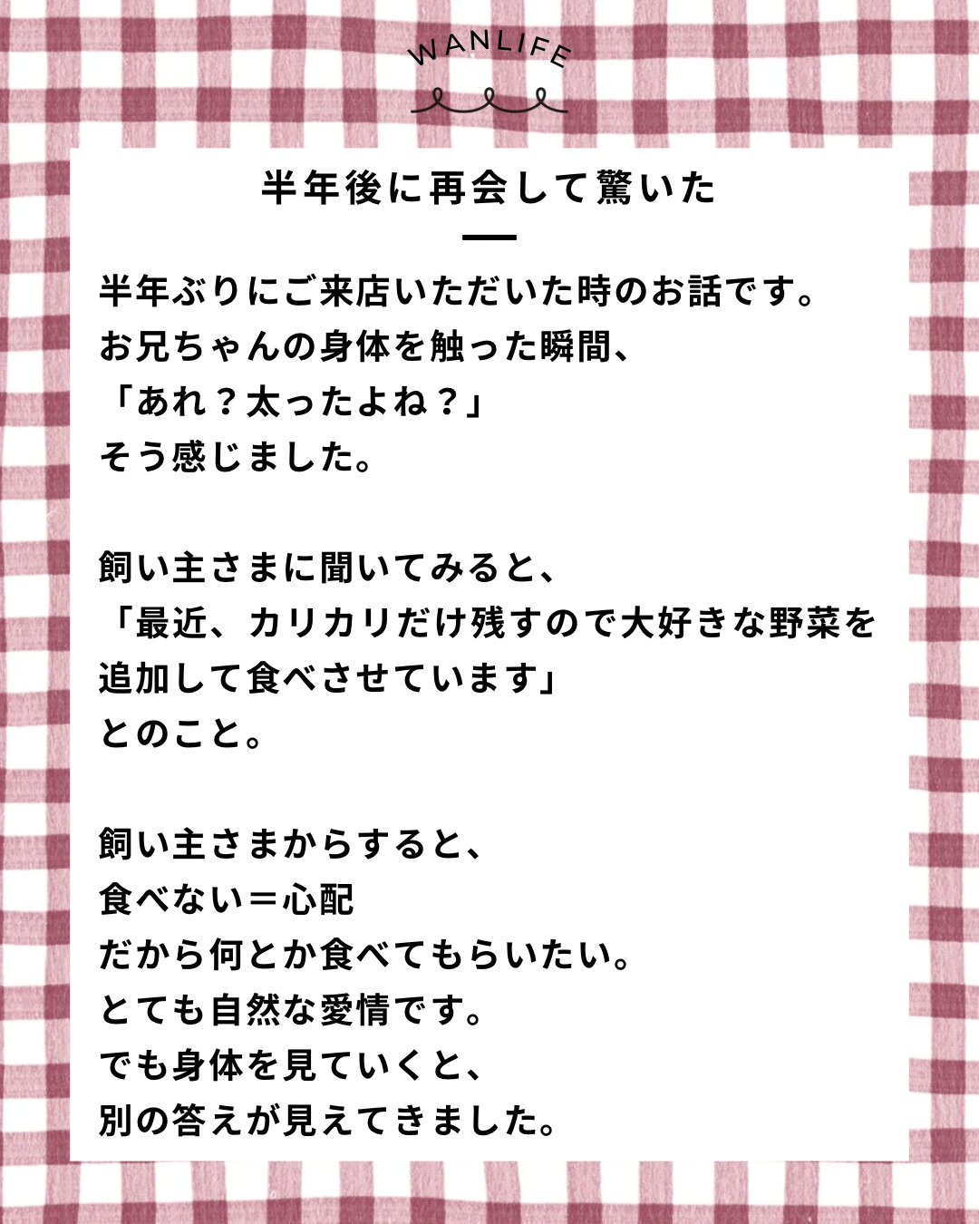 名古屋市・尾張旭市・長久手市・春日井市から来店多数の犬の整体WanLife