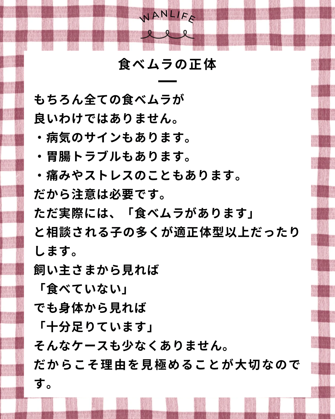 名古屋市・尾張旭市・長久手市・春日井市から来店多数の犬の整体WanLife