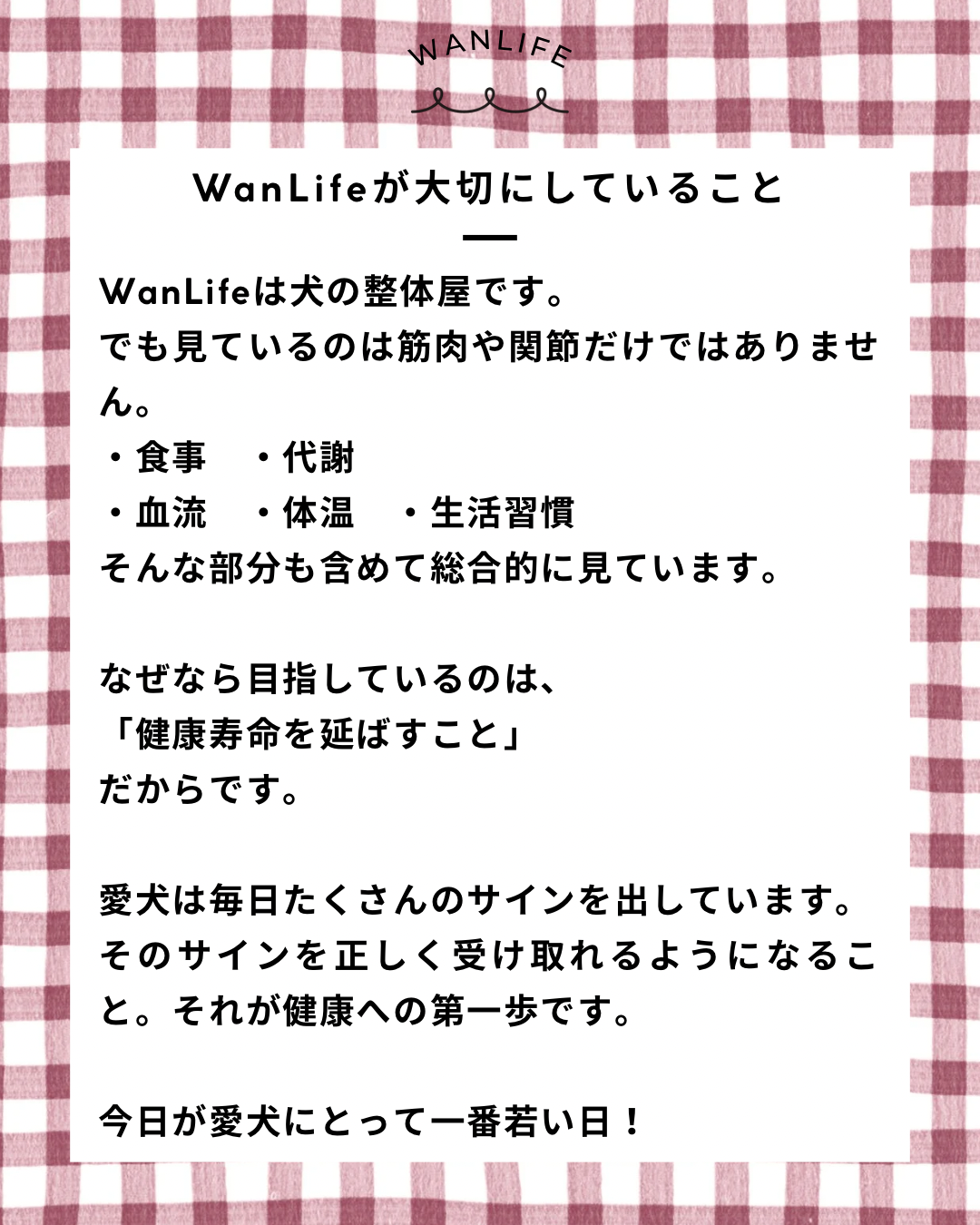 名古屋市・尾張旭市・長久手市・春日井市から来店多数の犬の整体WanLife