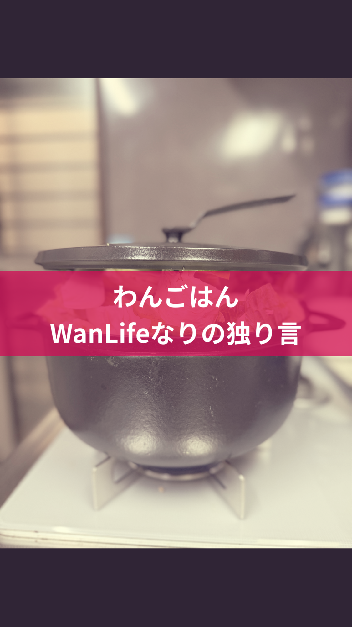 名古屋市・尾張旭市・長久手市・春日井市から来店多数の犬の整体WanLife