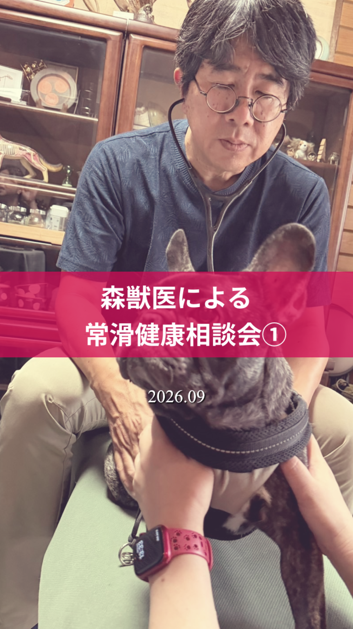名古屋市・尾張旭市・長久手市・春日井市から来店多数の犬の整体WanLife