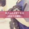 名古屋市・尾張旭市・長久手市・春日井市から来店多数の犬の整体WanLife