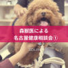 名古屋市・尾張旭市・長久手市・春日井市から来店多数の犬の整体WanLife