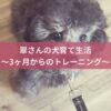 名古屋市・尾張旭市・長久手市・春日井市から来店多数の犬の整体WanLife