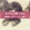 名古屋市・尾張旭市・長久手市・春日井市から来店多数の犬の整体WanLife